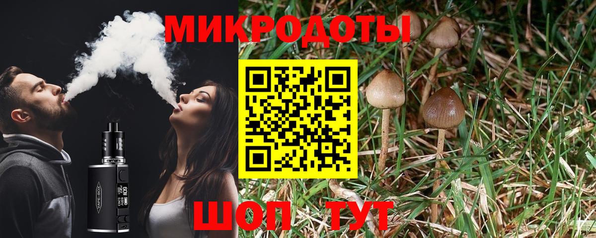 Малгобек  Галлюциногенные грибы Psilocybine cubensis  Вход с VPN 