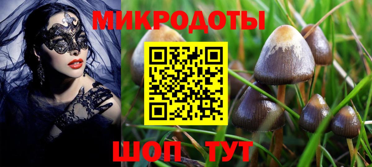 Псилоцибиновые грибы GOLDEN TEACHER Малгобек